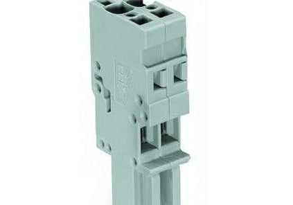 WAGO 769-102 1-conductor female plug; 4 mm2; 2-pole; 4,00 mm2; gray - Rittbul